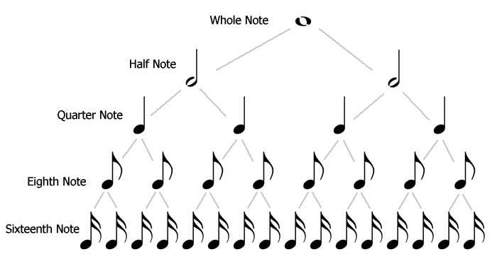 Half Note Quarter Note