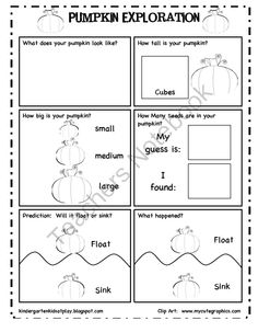 Pumpkin Investigation Worksheet