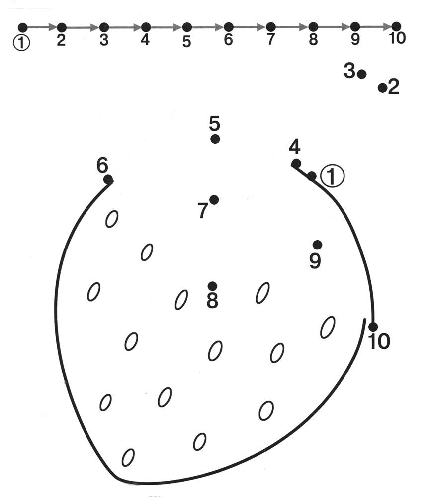 Free Printable Dot to Dot Worksheets