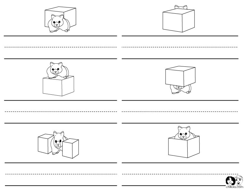 Kindergarten Position Words Worksheet