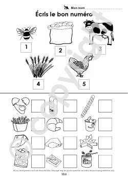 Where Does Food Come From for Kids Worksheets