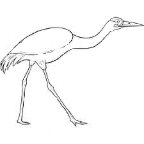 Crane Bird Coloring Page