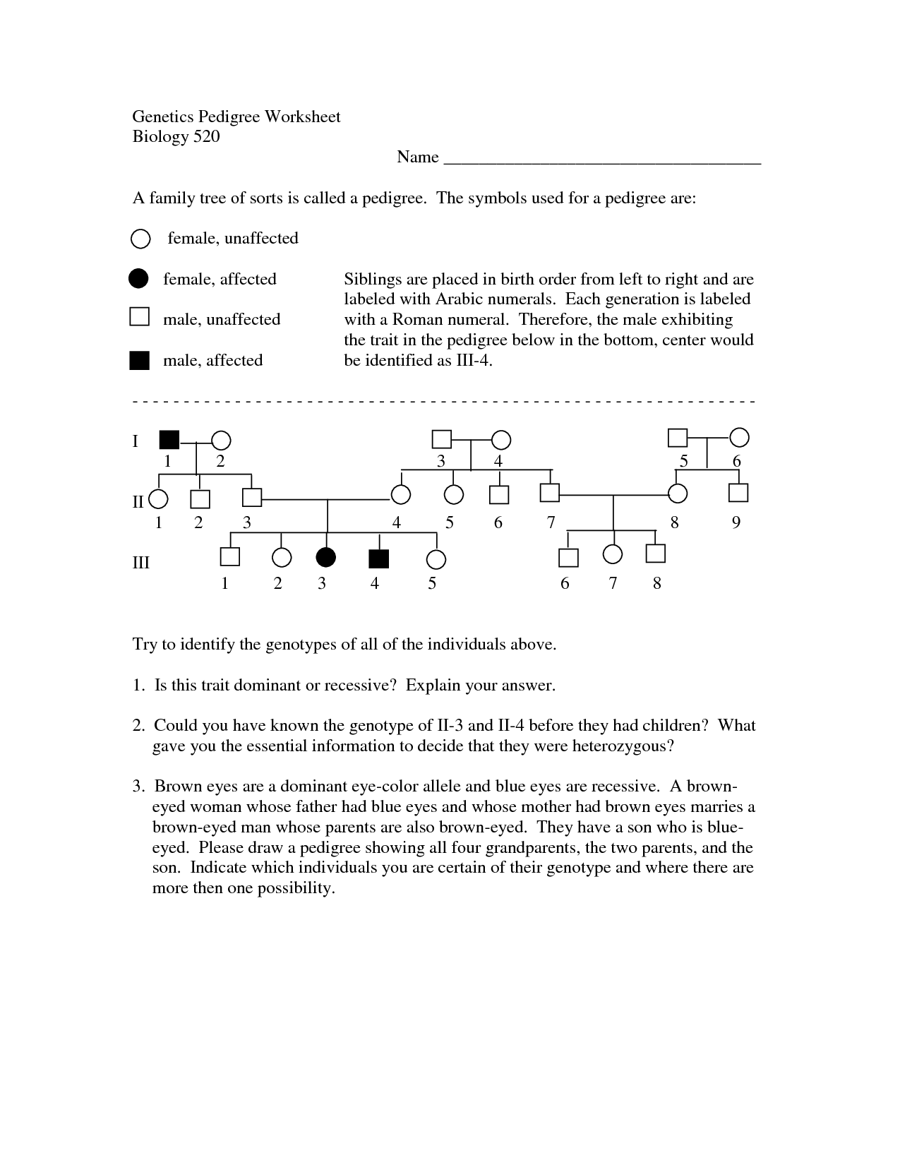 15 Pedigree Worksheet With Answer Key Worksheeto