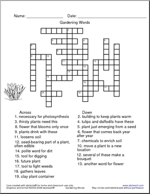 Plant Vocabulary Crossword Puzzle