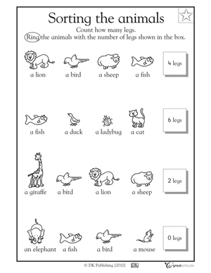 Activities Kindergarten Animal Worksheets