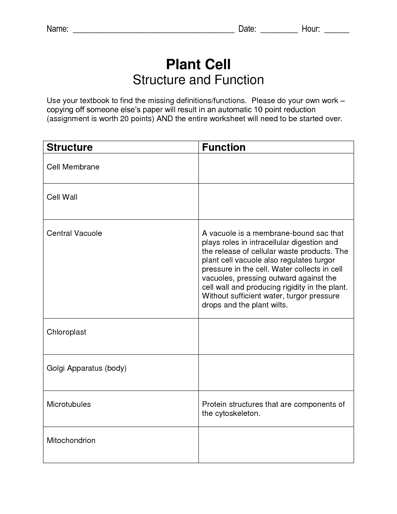 15-plant-structure-and-function-worksheet-worksheeto