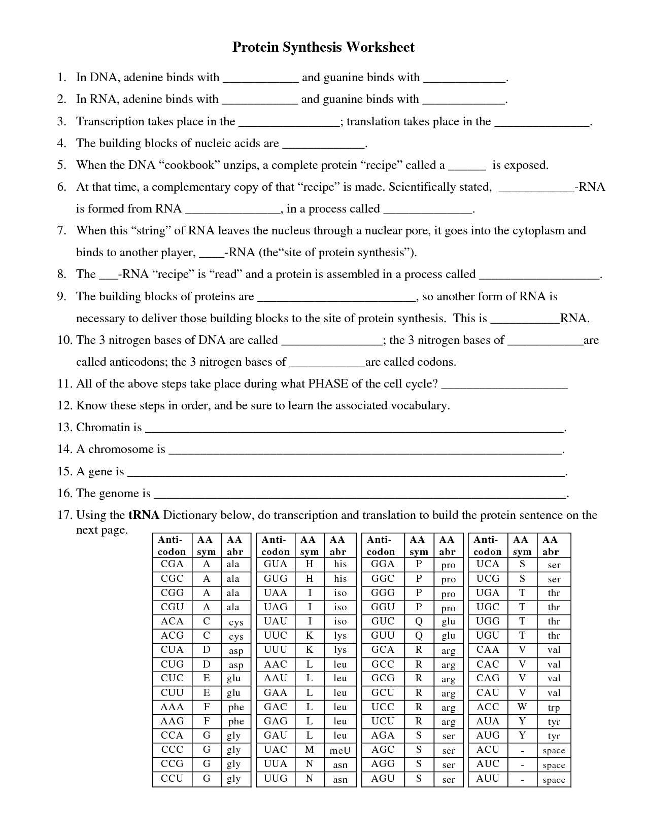 Protein Synthesis Worksheet Answers