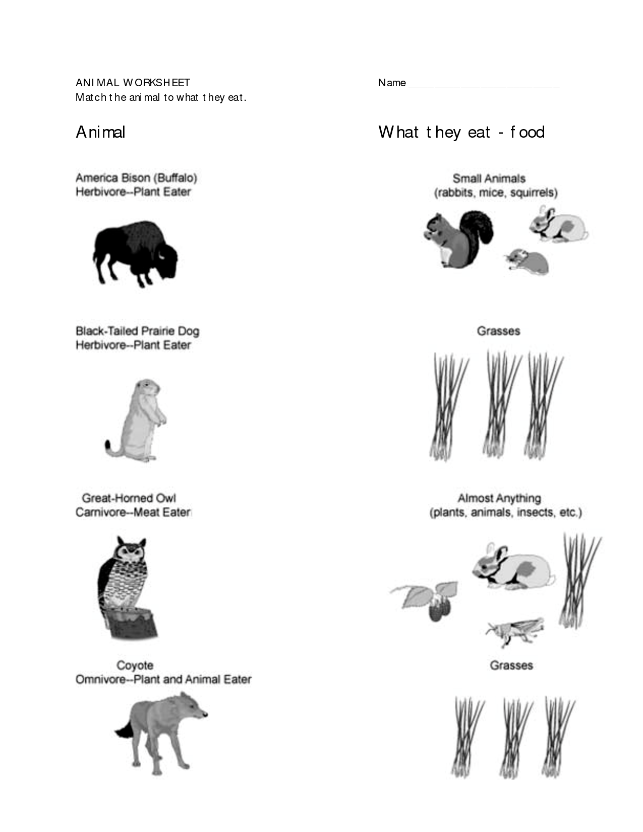 Animal Habitats Worksheets 1st Grade