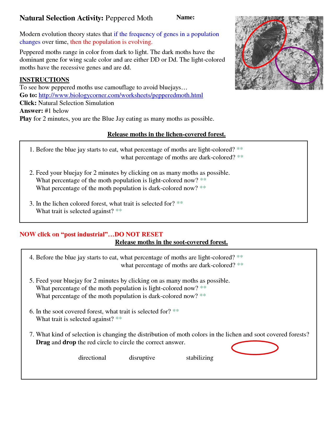 12 Darwin s Natural Selection Worksheet Key Worksheeto