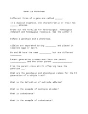 Genetics and Heredity Worksheet Answers