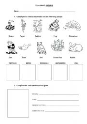 Invertebrate Vertebrate Worksheet 3rd Grade