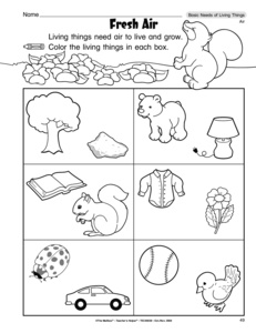 Living Things Need Worksheet