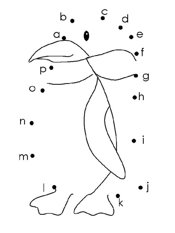 Penguin Dot to Dot Coloring Page