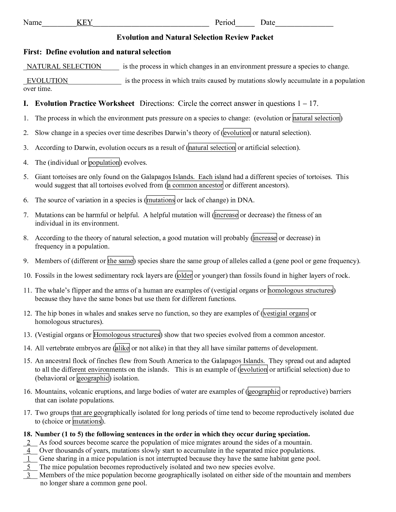 12 Darwin s Natural Selection Worksheet Key Worksheeto