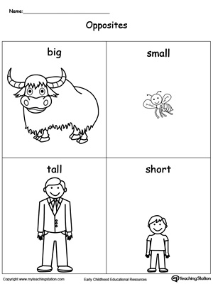 Tall Short Opposite Flash Cards