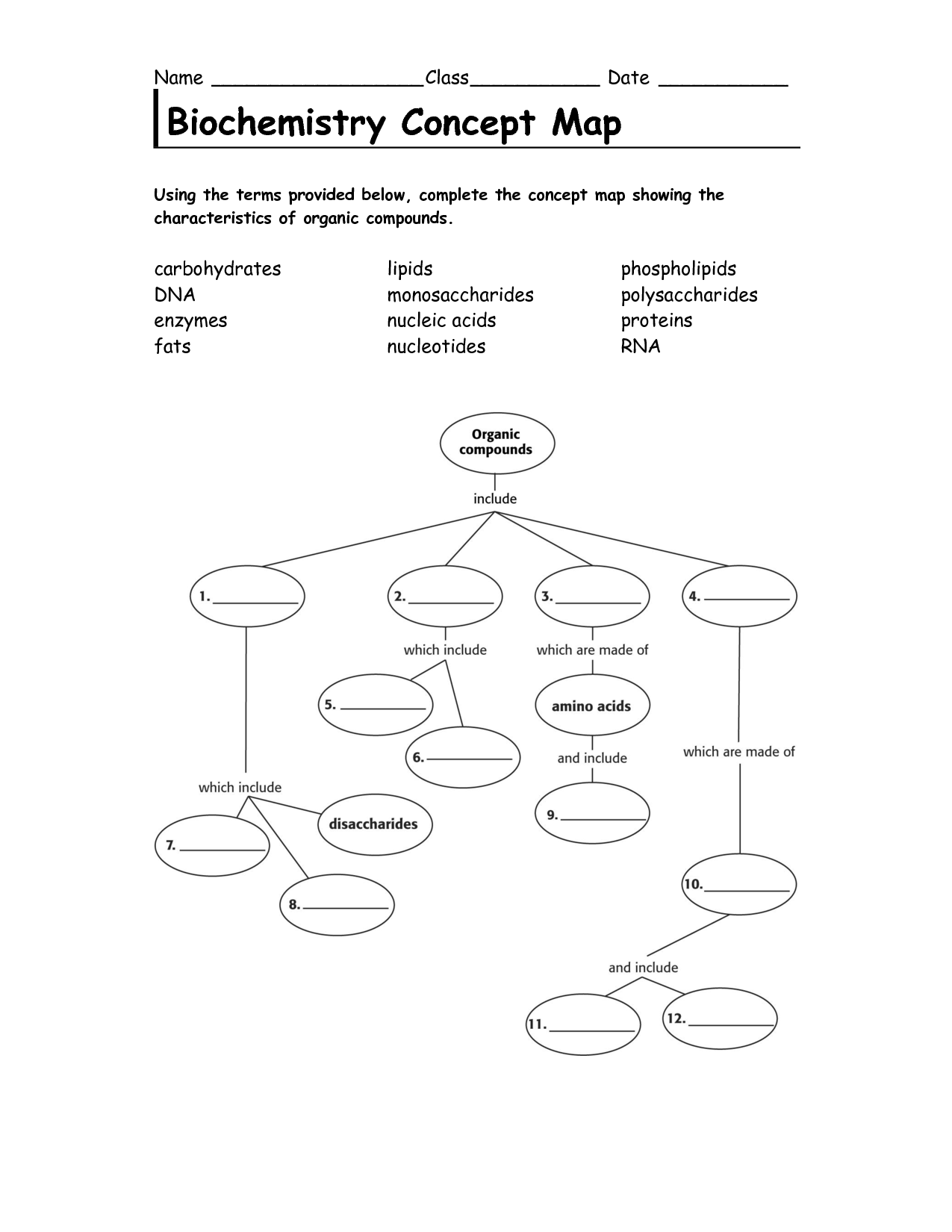 13 Nucleic Acid Concept Map Worksheet Worksheeto