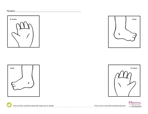 Body Parts Worksheet