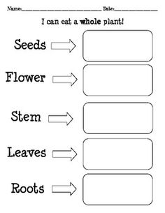 Can I Eat a Whole Plant Worksheets