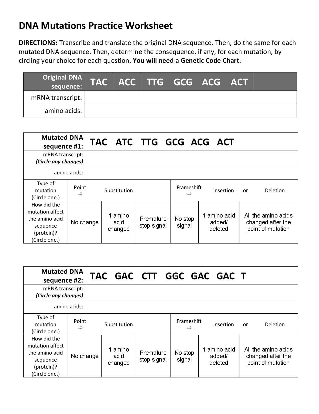 15 DNA Mutations Worksheet High School Worksheeto