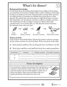 Food Chain Worksheets 4th Grade