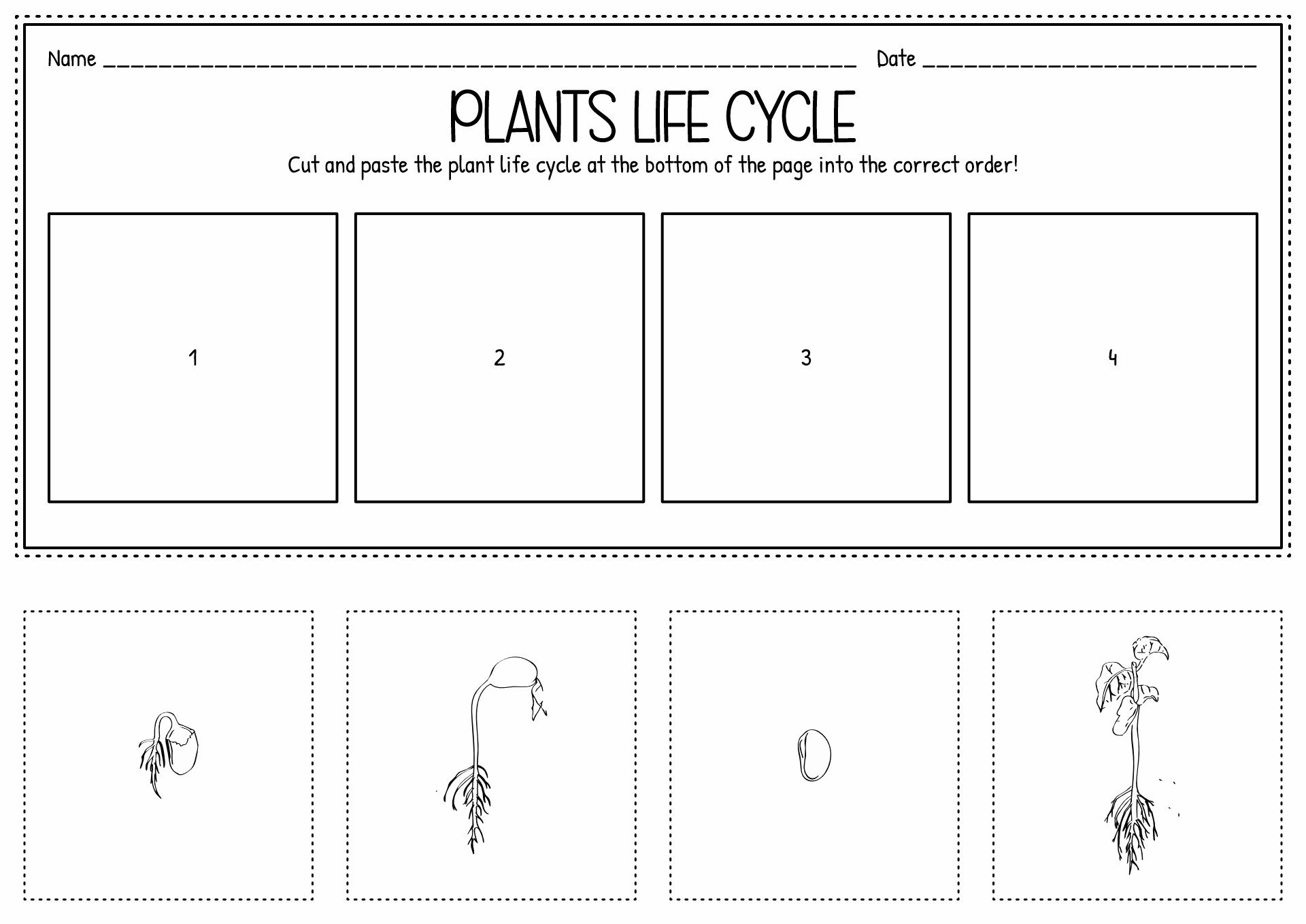 Cut And Paste Worksheet Category Page 2 Worksheeto