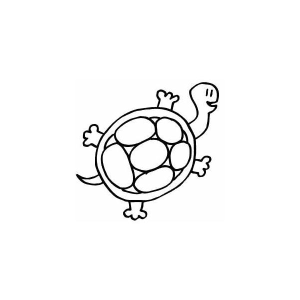 Turtle Shell Coloring Page