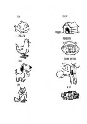 Animals and Their Homes Worksheets