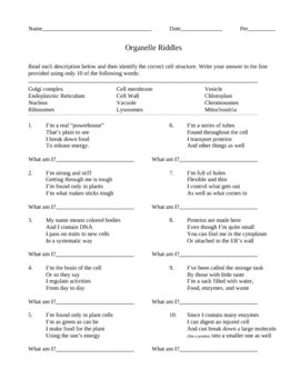 Cell Organelle Riddles Worksheet Answer Key