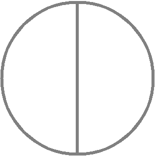 Circle Divided into Halves