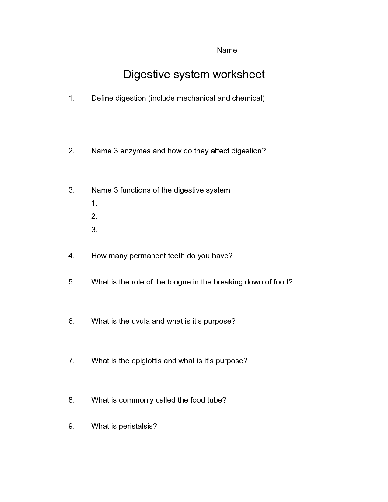 Digestive System Worksheet PDF