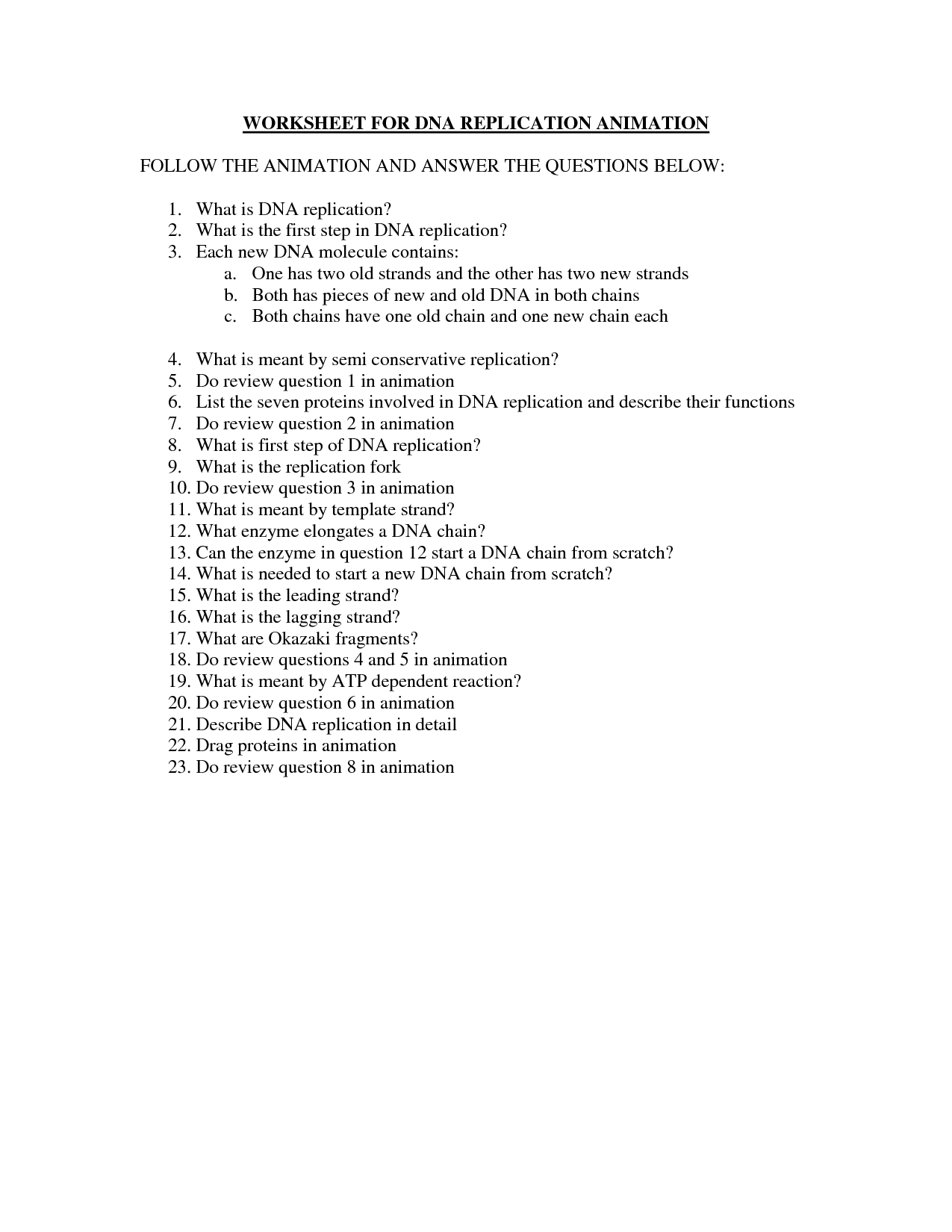 DNA Replication Worksheet Answers