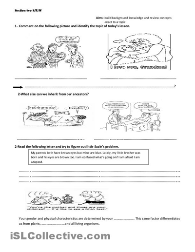 Genetics Worksheets for Elementary Students