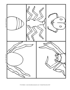 Insect Body Parts Printable Worksheet