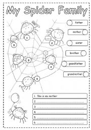 Kindergarten Spider Worksheets