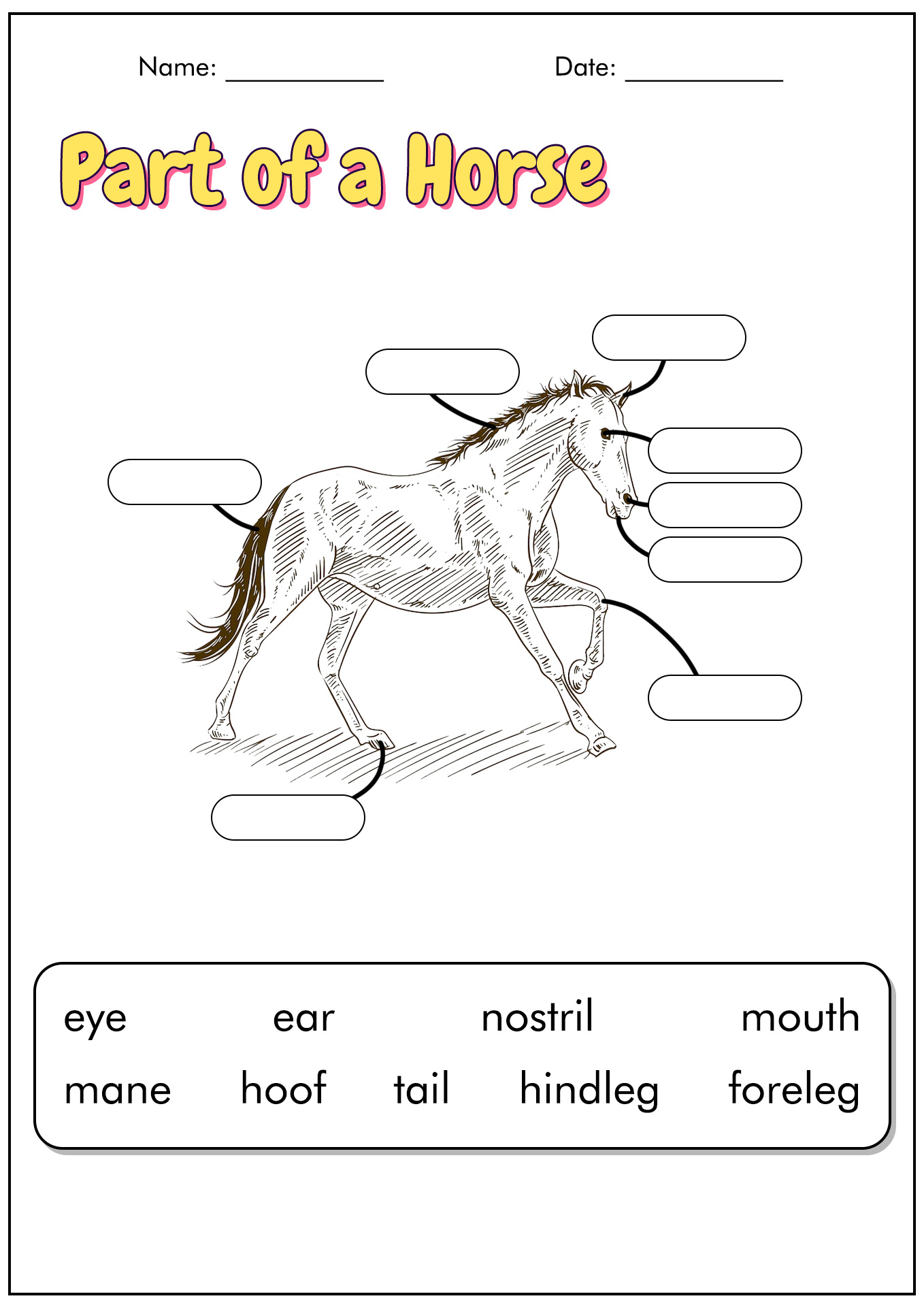 18 Best Images of Horse Study Worksheets - Horse Riding Posture ...