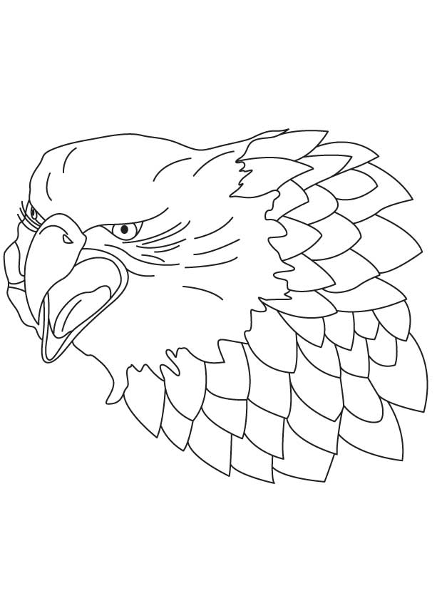 Falcon Coloring Pages