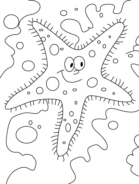 Free Printable Starfish Coloring Pages