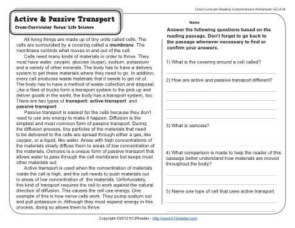 Reading Active and Passive Transport Worksheet