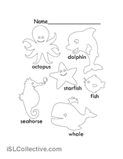 Sea Animals Worksheets Kindergarten