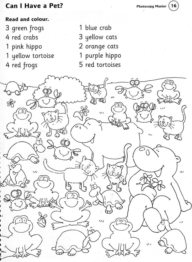 Animal Activity Worksheets