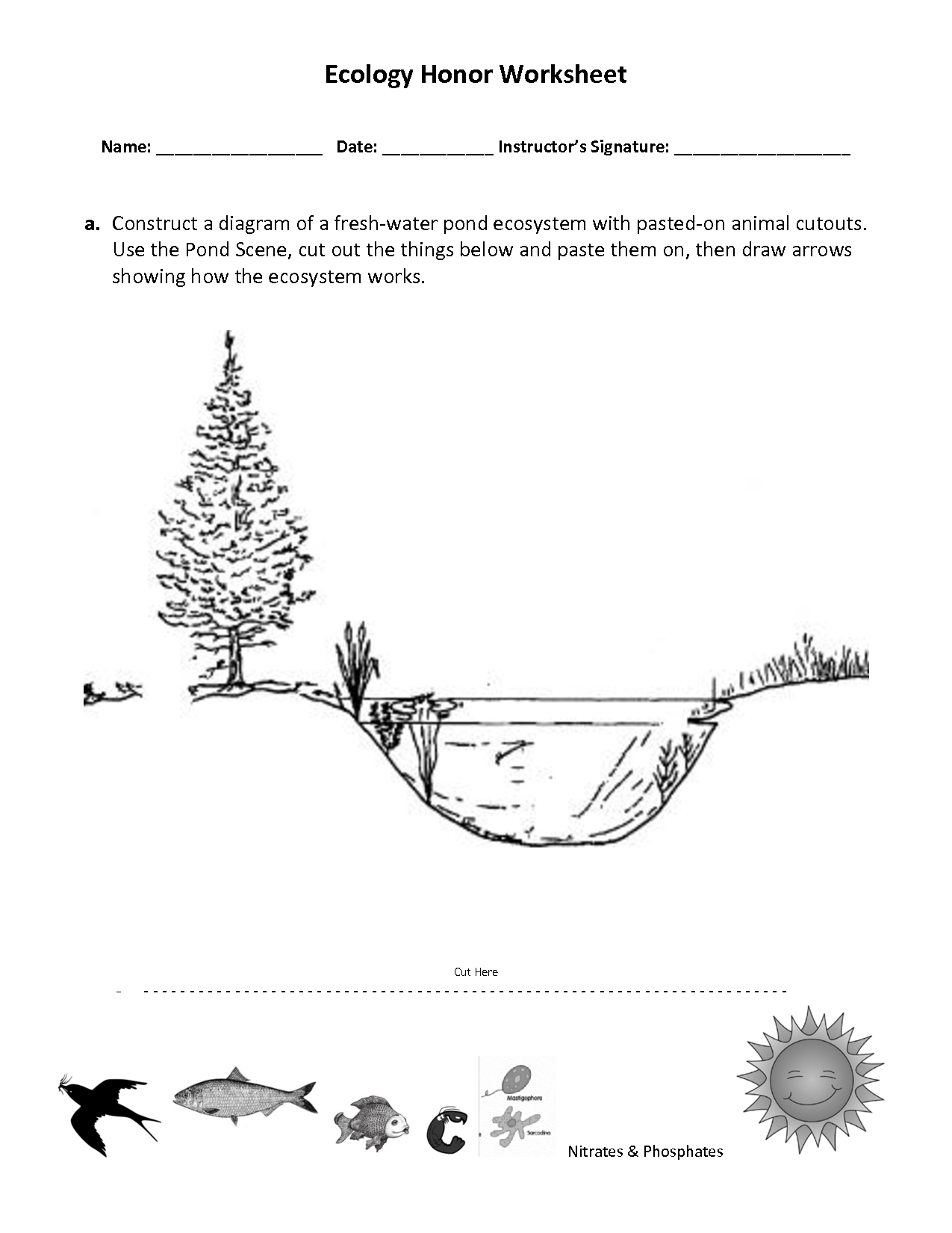 Ecosystem Cut and Paste Worksheet