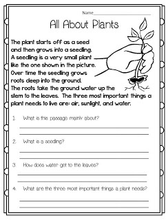 Reading Comprehension Worksheets