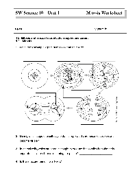 Physics Worksheet Category Page 1 - worksheeto.com