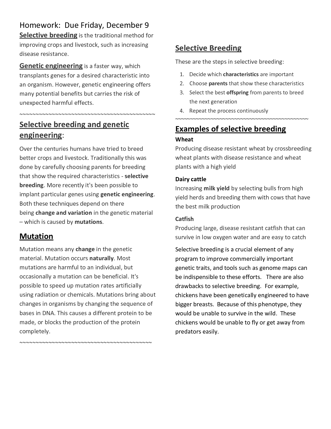 Worksheet Selective Breeding vs Genetic Engineering