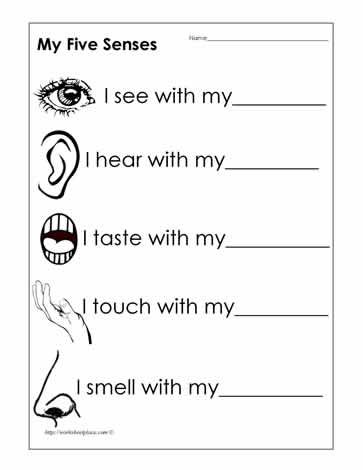 Five Senses Worksheets for Kindergarten