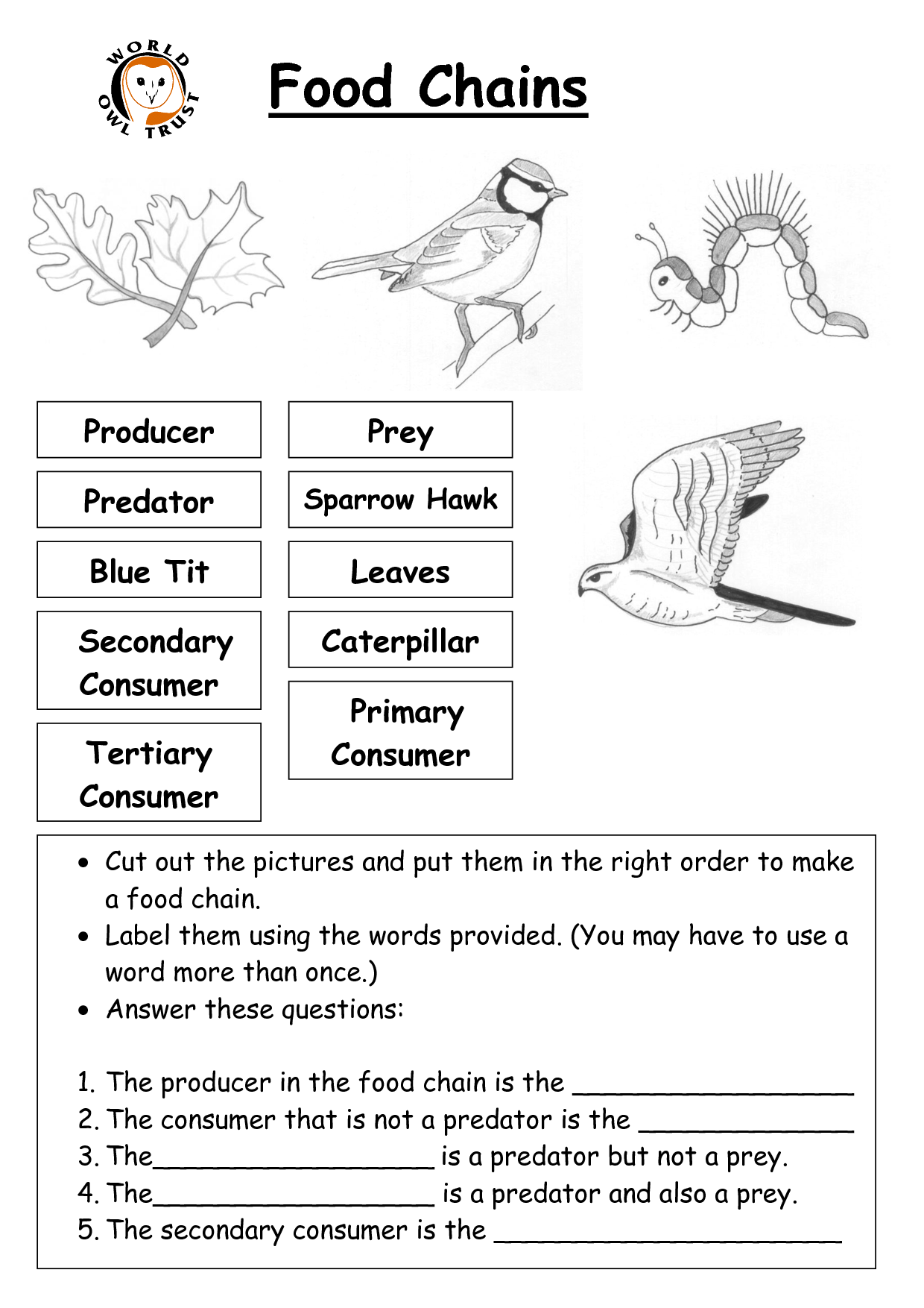 11 Cooking Terms Worksheet Printable Worksheeto