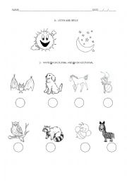 Nocturnal Animals Worksheet