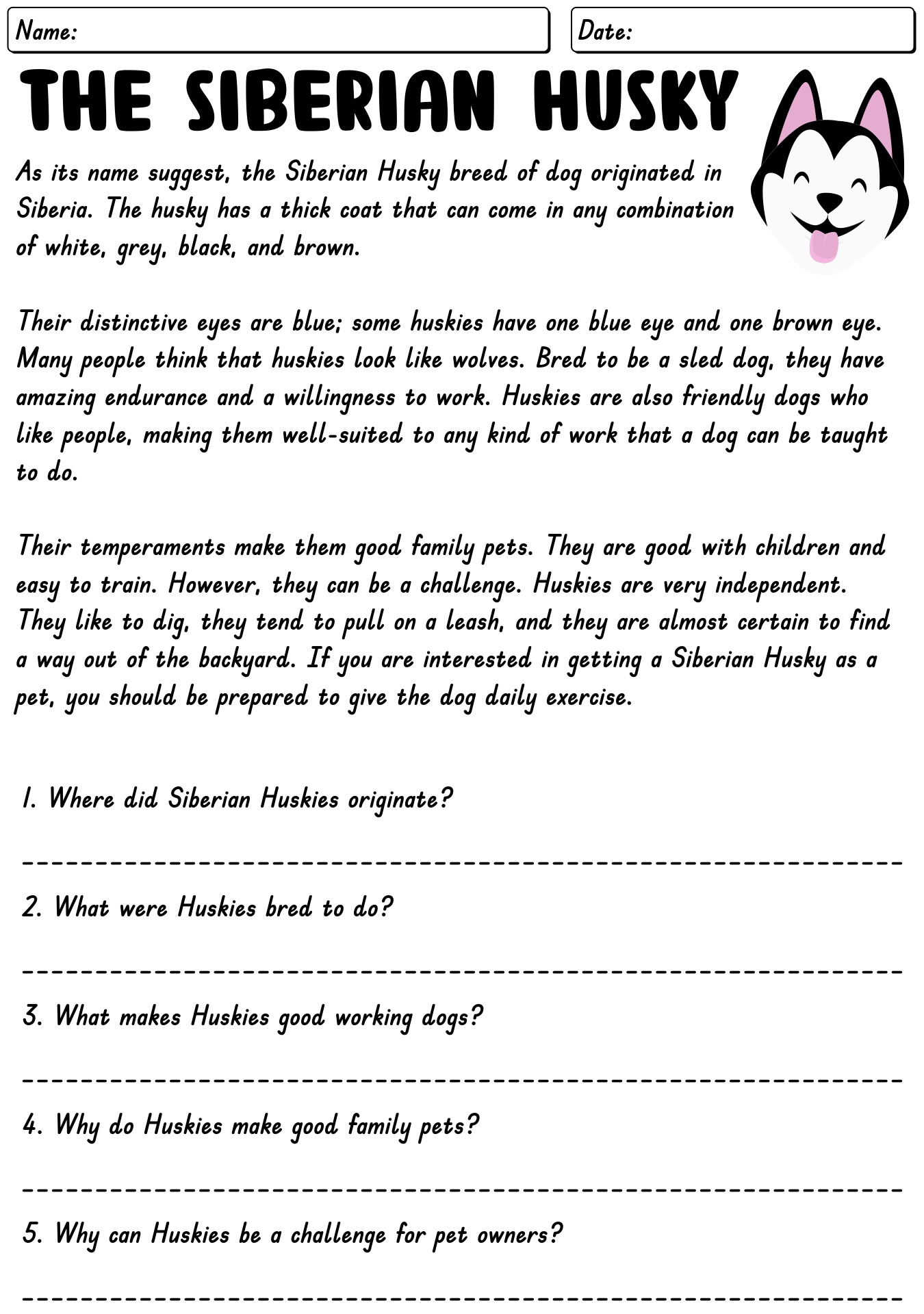 13 5th Grade Reading Comprehension Worksheets Worksheeto