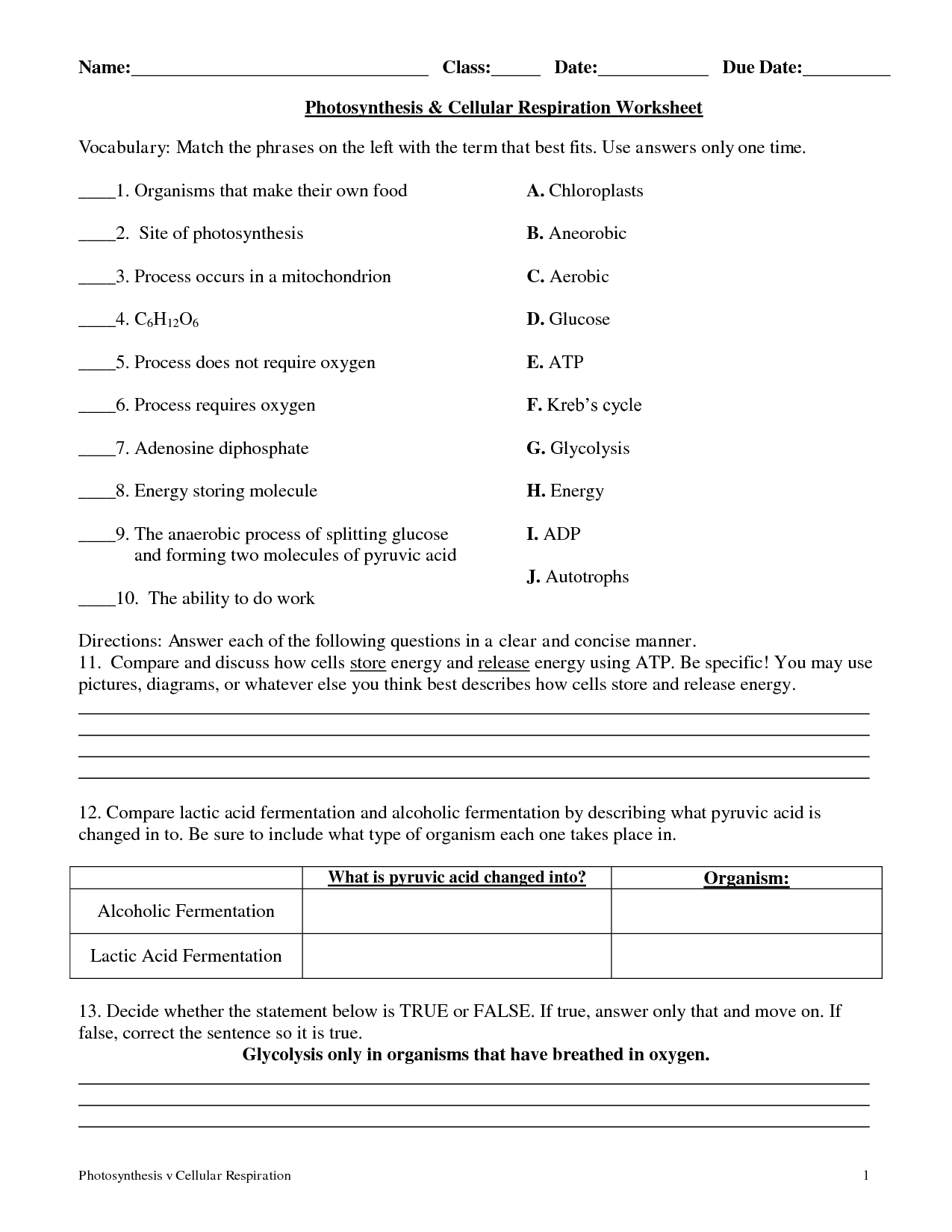 Photosynthesis and Cellular Respiration Worksheet Answers