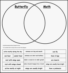 14 Best Images of Frog Butterfly Life Cycle Worksheet - Frog Life Cycle ...